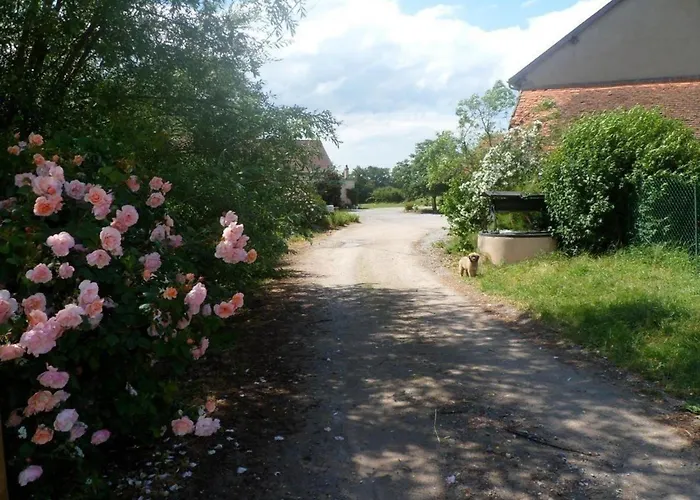 Nature à Avec Piscine Et Wifi - Fr-1-489-466 * Souvigny